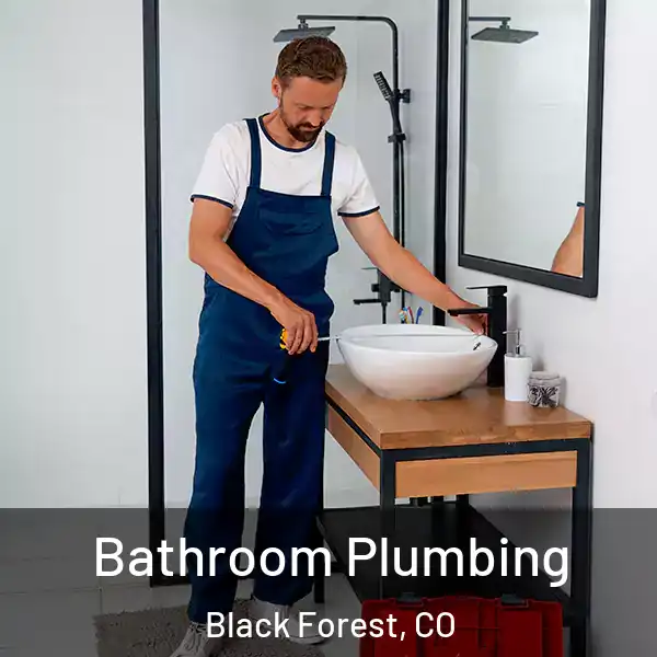  Bathroom Plumbing Black Forest, CO