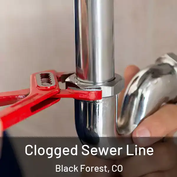  Clogged Sewer Line Black Forest, CO