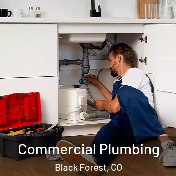  Commercial Plumbing Black Forest, CO