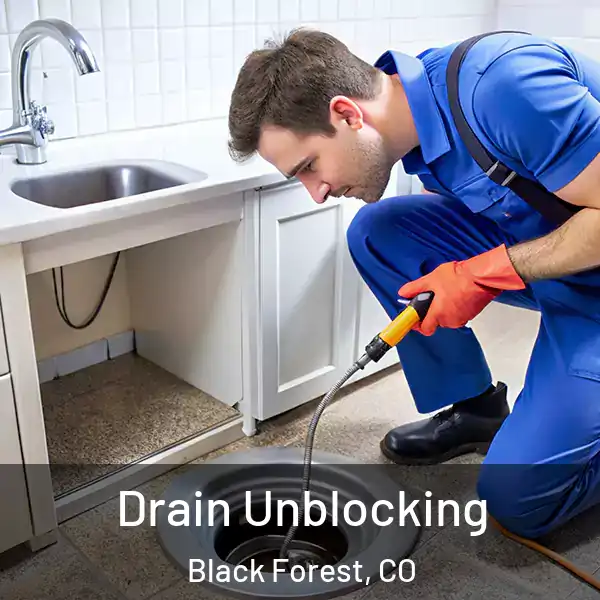  Drain Unblocking Black Forest, CO