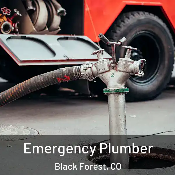  Emergency Plumber Black Forest, CO