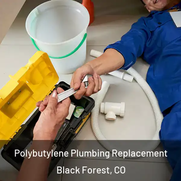 Polybutylene Plumbing Replacement Black Forest, CO