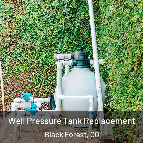  Well Pressure Tank Replacement Black Forest, CO